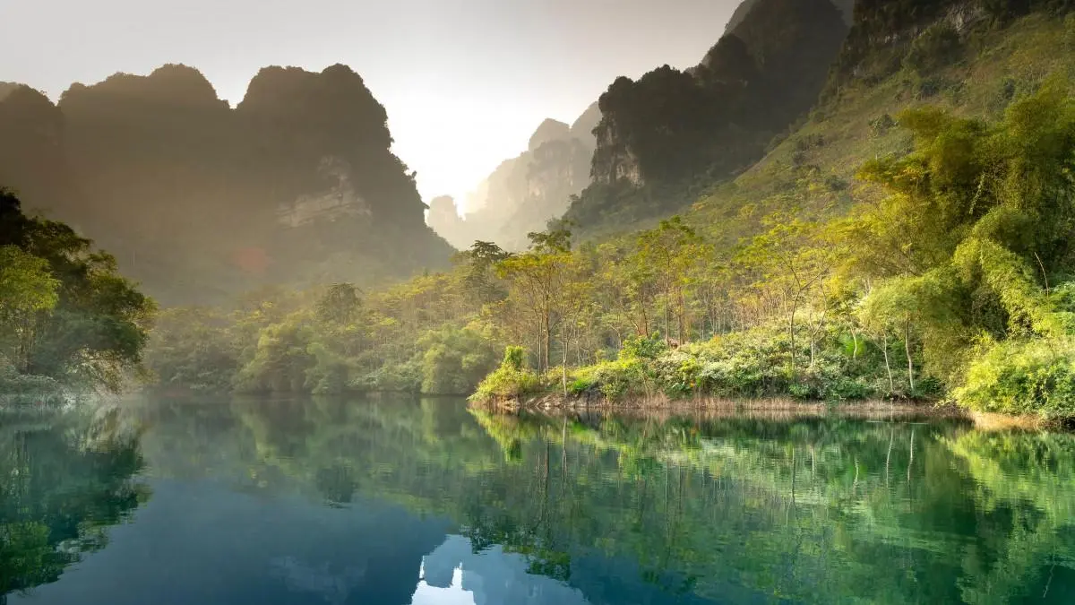 绿色绿色高性能